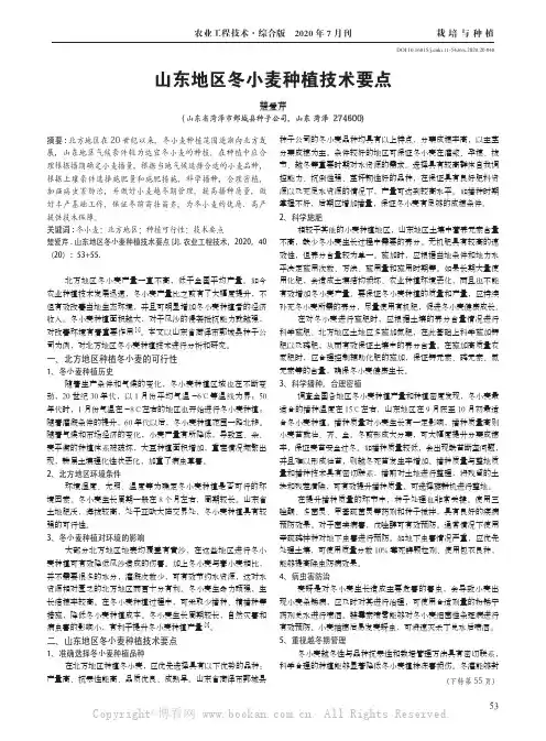 山东地区冬小麦种植技术要点