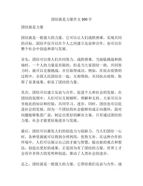 团结就是力量作文800字