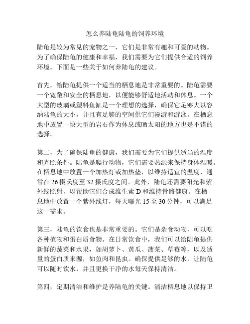 怎么养陆龟陆龟的饲养环境