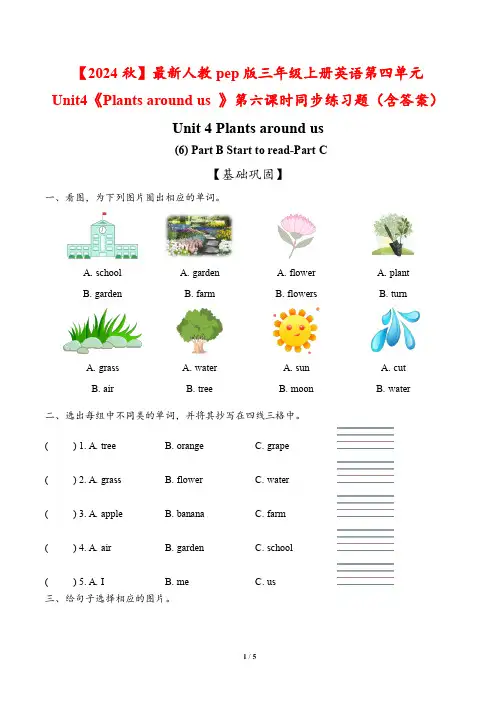 最新人教版三年级上册英语第四单元《Plants around us 》第六课时同步练习题(含答案)