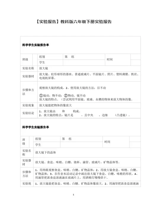 六年级科学下册素材   实验报告    教科版