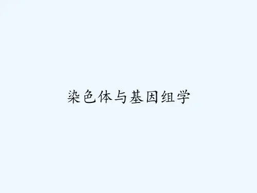 染色体与基因组学