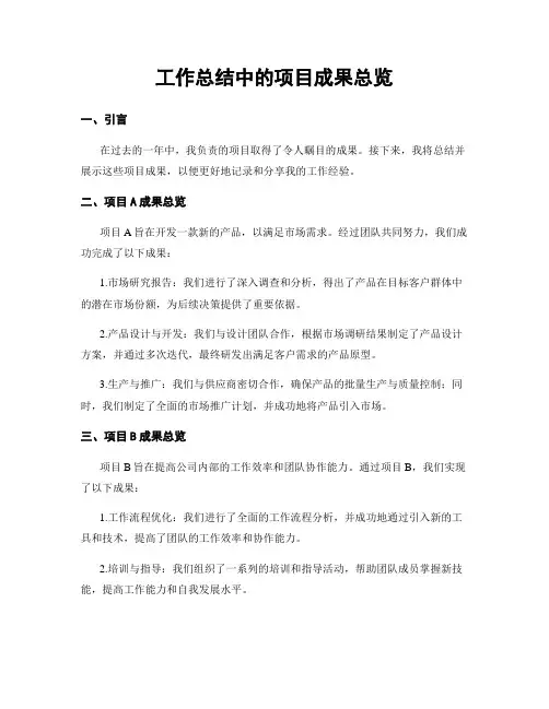 工作总结中的项目成果总览
