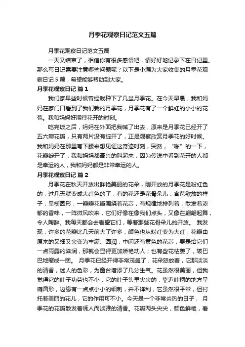 月季花观察日记范文五篇