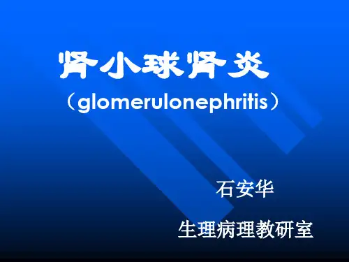 肾小球肾炎基本病理变化