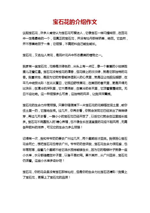 宝石花的介绍