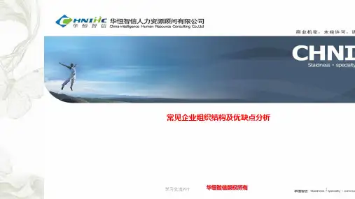 常见企业组织结构及优缺点分析课件