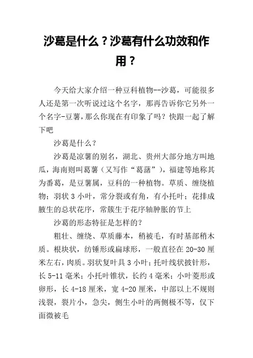 沙葛是什么？沙葛有什么功效和作用？