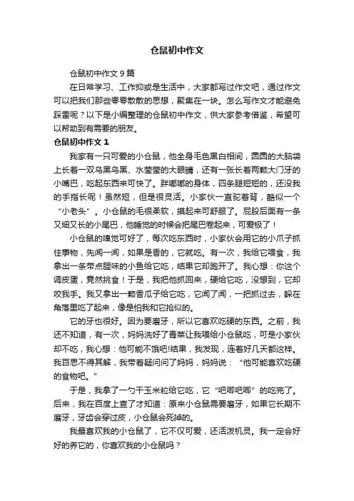 仓鼠初中作文