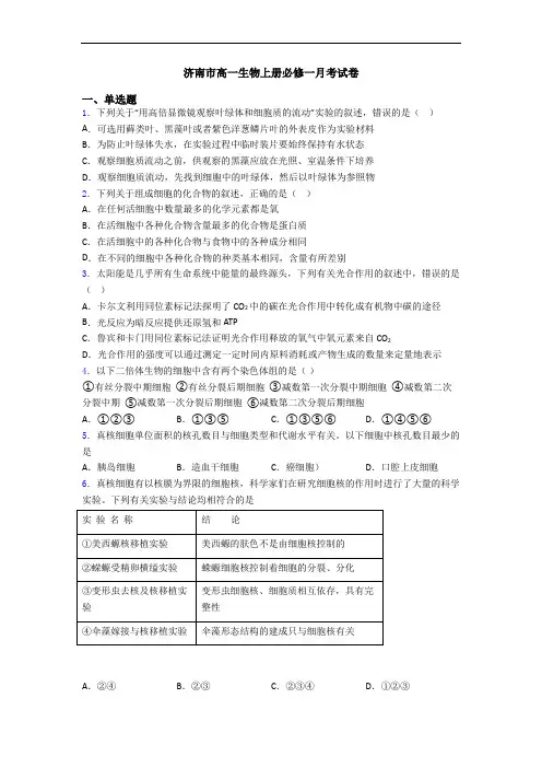 济南市高一生物上册必修一月考试卷