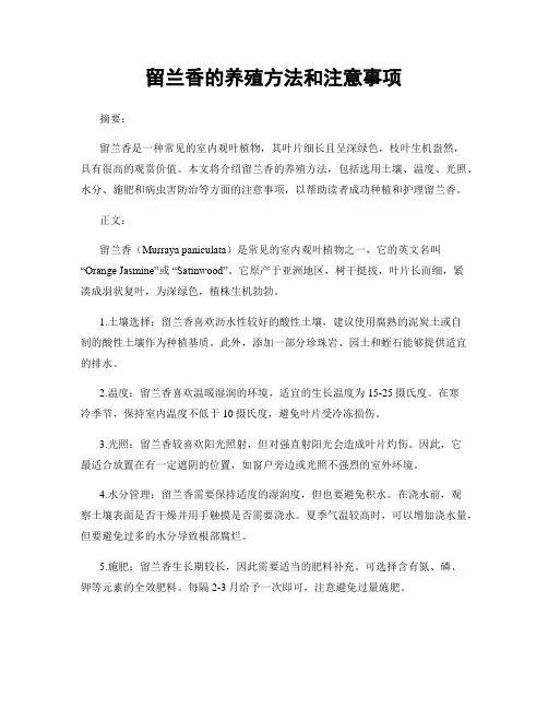 留兰香的养殖方法和注意事项
