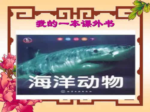 我的一本课外书ppt课件
