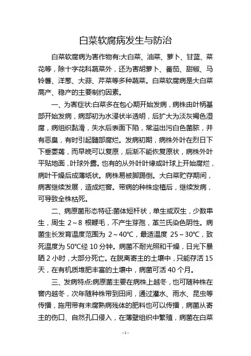 白菜软腐病发生与防治