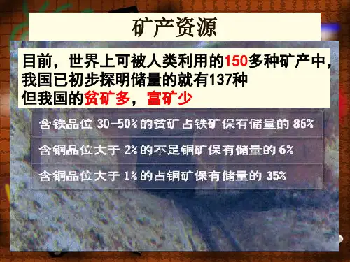 我国的资源和环境问题PPT课件
