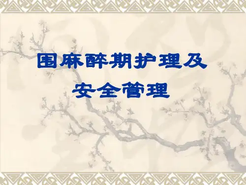 围麻醉期护理及安全管理ppt课件