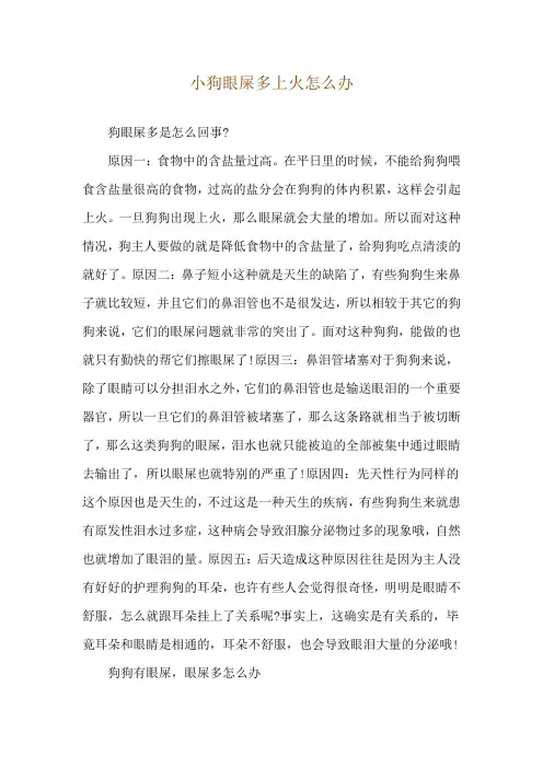 小狗眼屎多上火怎么办