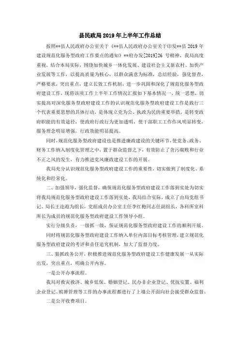 工作总结-县民政局2019年上半年工作总结 精品