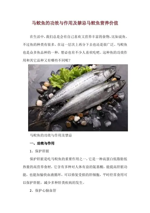 马鲛鱼的功效与作用及禁忌 马鲛鱼营养价值