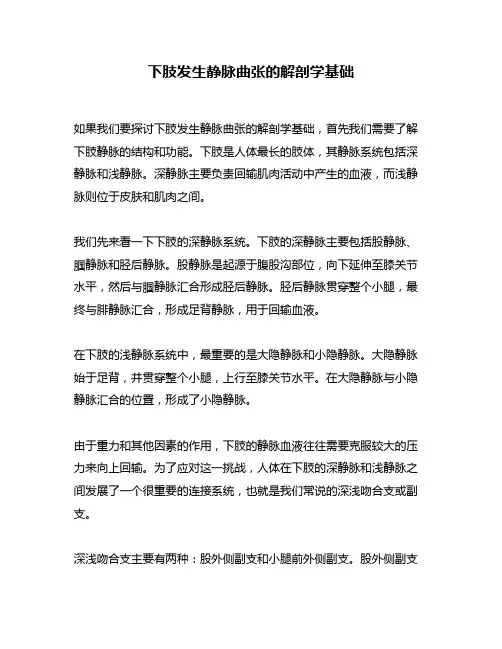 下肢发生静脉曲张的解剖学基础