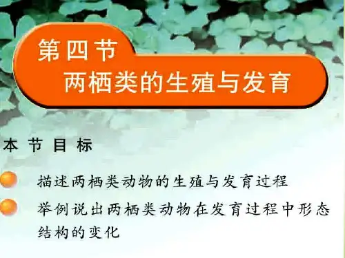 苏教版八年级生物下册第二十一章第四节《两栖类的生殖与发育》课件(23张PPT)