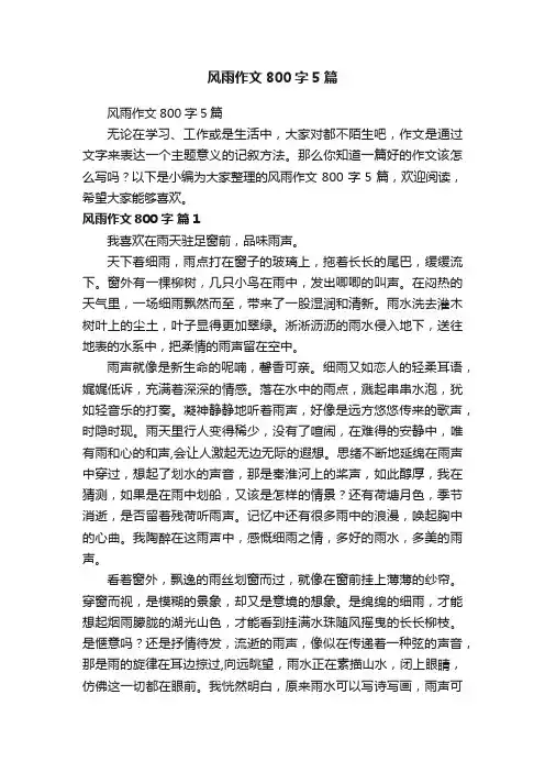 风雨作文800字5篇