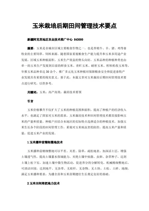 玉米栽培后期田间管理技术要点