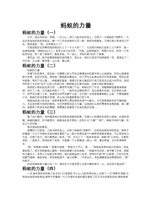 蚂蚁的力量作文共九篇