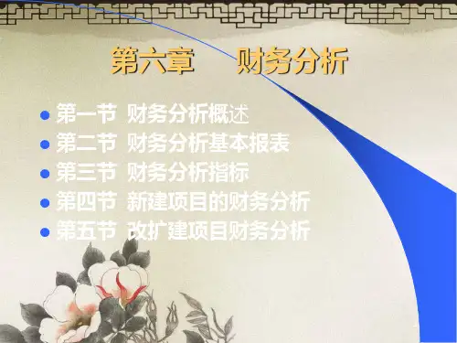 技术经济学第六章财务分析PPT课件