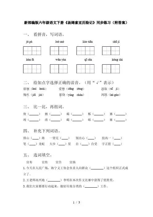 新部编版六年级语文下册《汤姆索亚历险记》同步练习(附答案)