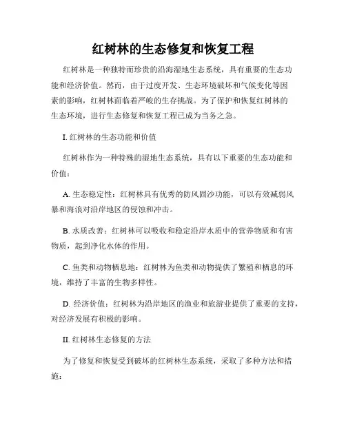 红树林的生态修复和恢复工程