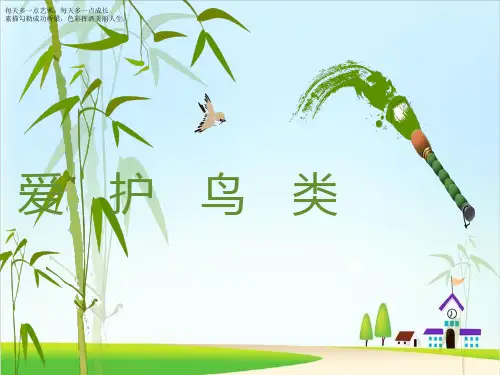 二年级下册美术课件-19《爱护鸟类》 广西版 (共12张PPT)