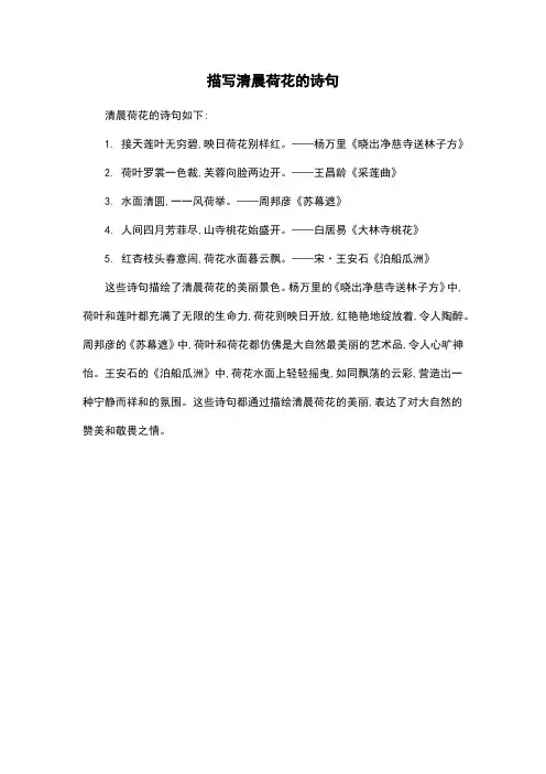描写清晨荷花的诗句
