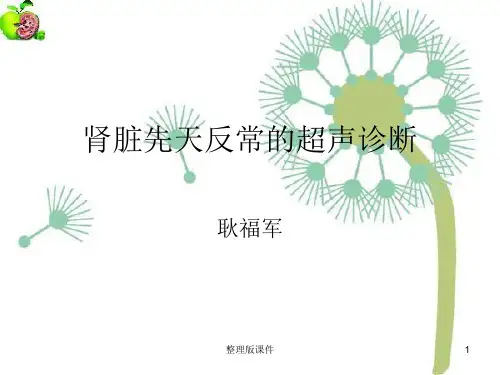 肾先天反常超声诊断ppt课件