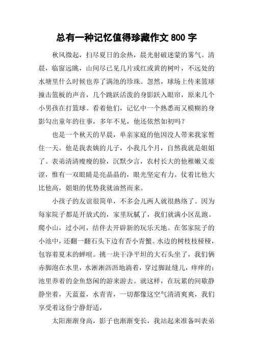 总有一种记忆值得珍藏作文800字_2
