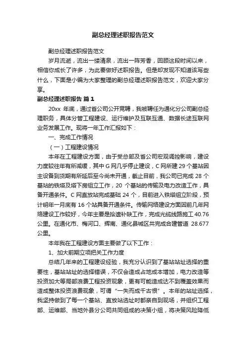 副总经理述职报告范文
