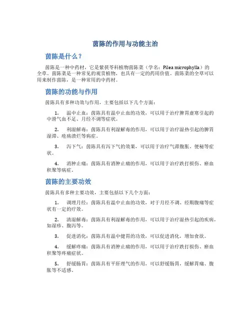 茵陈的作用与功能主治图片及功效