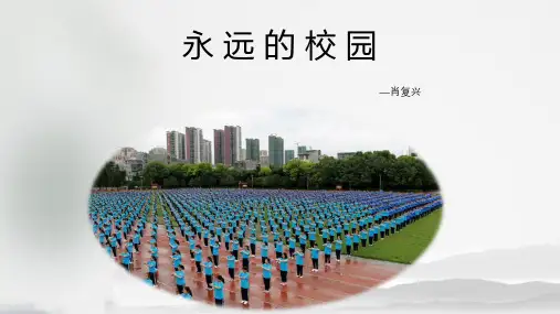 永远的校园课件