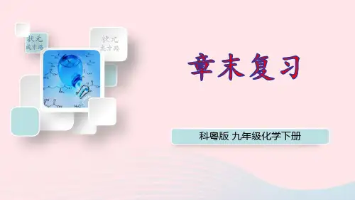 九年级化学下册第八章常见的酸碱盐章末复习上课pptx课件科粤版