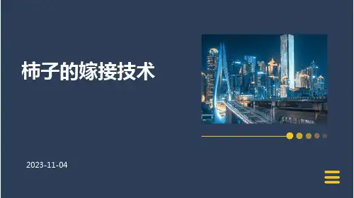 柿子的嫁接技术
