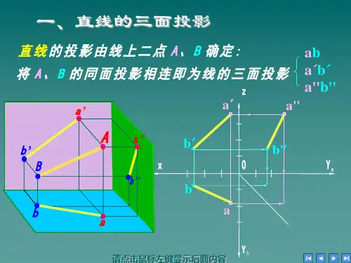 直线的投影