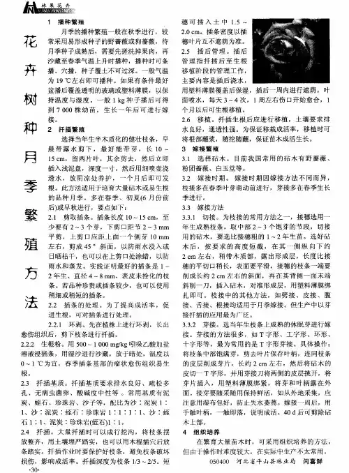 花卉树种月季繁殖方法