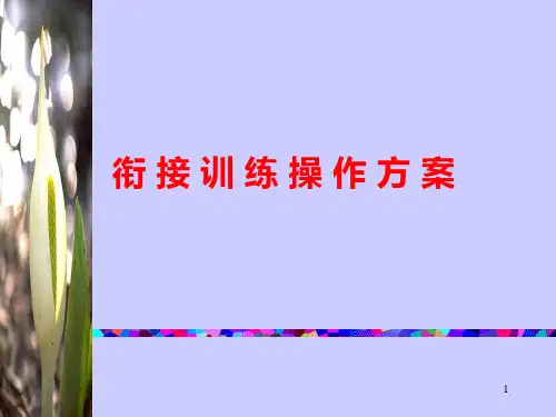 保险公司培训：衔接训练操作方案