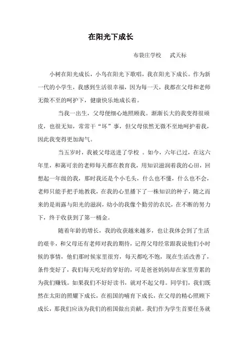 在阳光下成长(六年级)