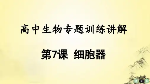 高中生物专题训练讲解7：细胞器