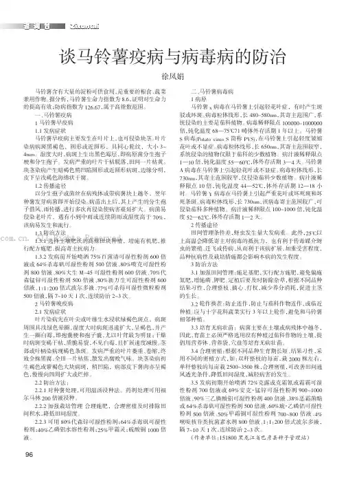 谈马铃薯疫病与病毒病的防治