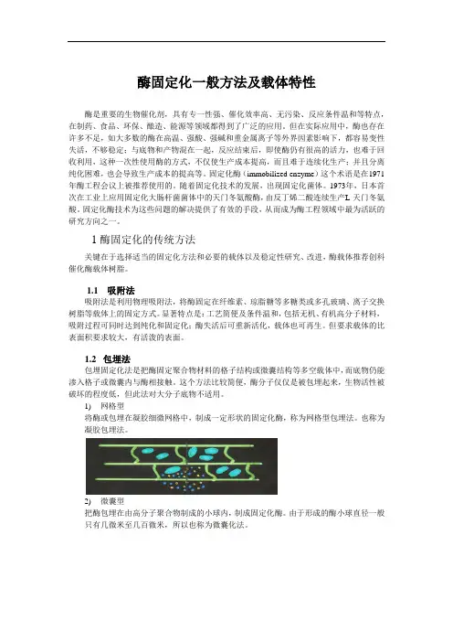 酶固定化方法及载体特性