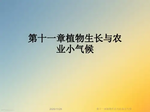 第十一章植物生长与农业小气候
