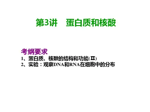 人教版高中生物一轮复习课件：第3讲 蛋白质  核酸共49张PPT