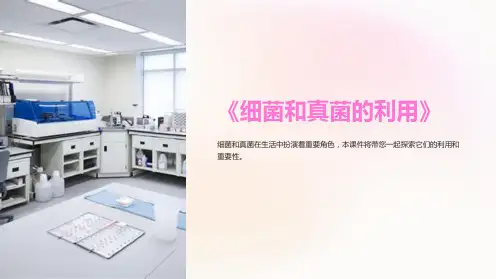 《细菌和真菌的利用》课件