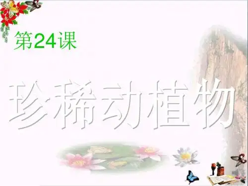 六年级科学上册珍稀动植物ppt课件3青岛版